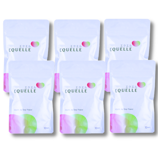 大塚製薬 エクエル パウチ 120粒 30日分 6袋セット