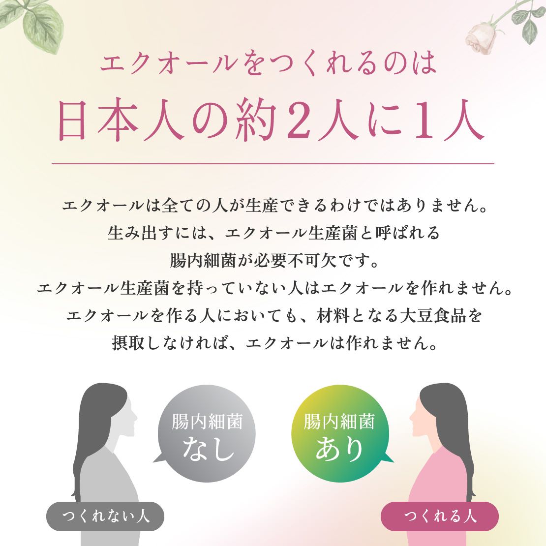 大塚製薬 エクエル パウチ 120粒 30日分 18袋セット(1ケース)