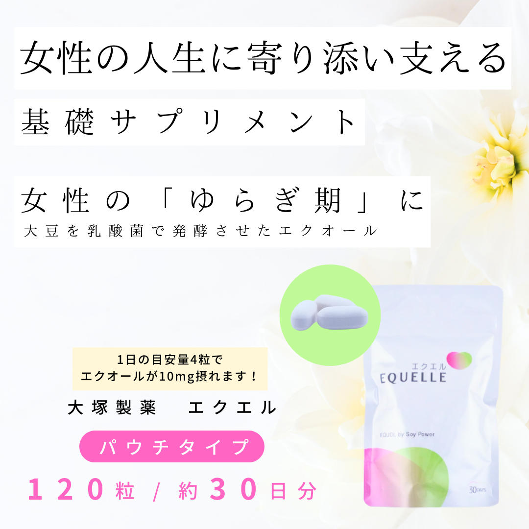 大塚製薬 エクエル パウチ 120粒 30日分 6袋セット