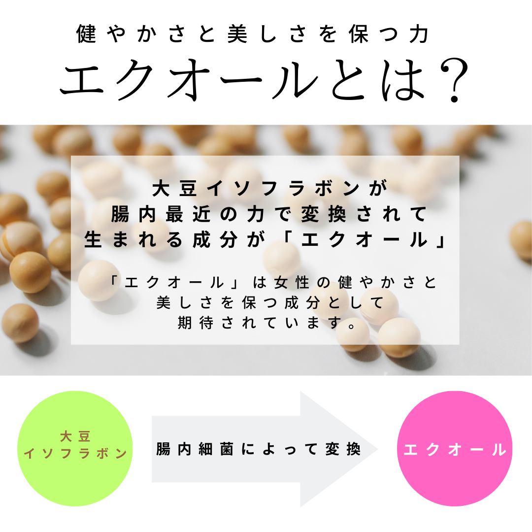 大塚製薬 エクエル パウチ 120粒 30日分 18袋セット(1ケース)